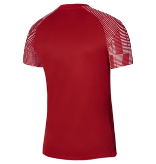 Футболка детская Nike Dri-Fit Academy Red DH8369-657