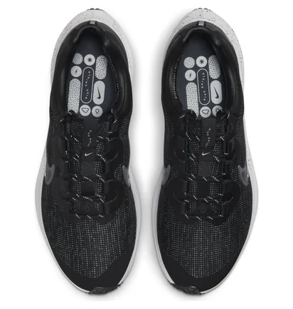 Кроссовки мужские Nike Winflo 8 Shield Black DC3727-001