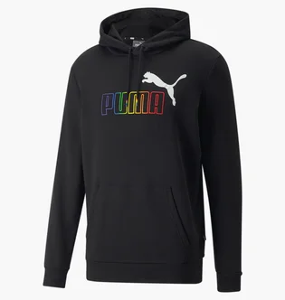 Худи мужское Puma Essentials+ Rainbow Hoodie Black 848678-01