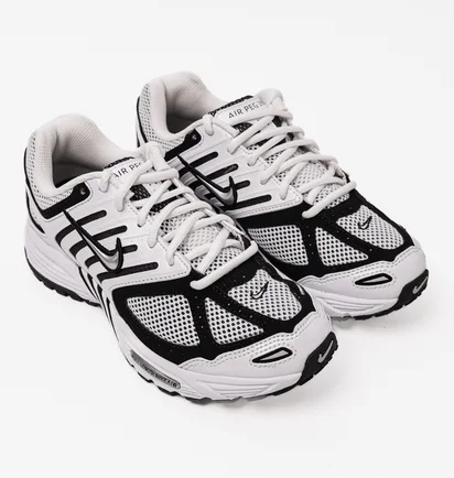 Кроссовки мужские Nike Air Pegasus 2005 White/Grey FJ1909-100