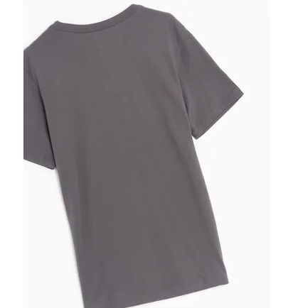 Футболка мужская Air Jordan X Psg Wordmark T-Shirt Grey DZ2940-068