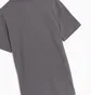 Футболка мужская Air Jordan X Psg Wordmark T-Shirt Grey DZ2940-068