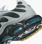 Кросівки чоловічі Nike Air Max Plus Pure Platinum Grey DM0032-015