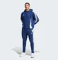 Худи мужское Adidas Tiro 24 Sweat Hoodie Blue IR7546
