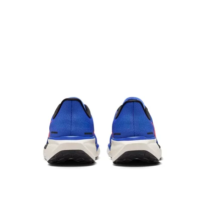 Кросівки чоловічі Nike Air Zoom Pegasus 41 Blue FD2722-401