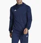 Кофта мужская Adidas Hooded Sweatshirt Tiro23 C Hood Blue HK8056