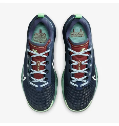 Кросівки жіночі Nike Terra Kiger 9 Blue DR2694-403