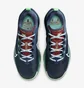 Кросівки жіночі Nike Terra Kiger 9 Blue DR2694-403