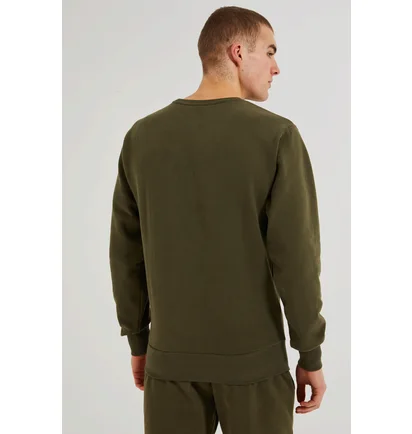 Свитшот мужской Ellesse Sl Succiso Sweatshirt Green SHC07930-506