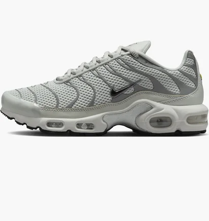 Кроссовки женские Nike Air Max Plus Grey FV8480-002