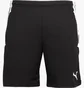 Шорти чоловічі Puma Team Liga Training Short Black 65724903