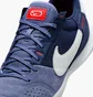 Футзалки унісекс Nike Streetgato Violet DC8466-500