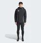 Куртка чоловіча Adidas Tiro 24 Competition All-Weather Jacket Black IJ8343