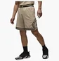 Шорти чоловічі Air Jordan Sport MenS Dri- F I T Mesh Diamond Shorts Beige HF9910-206