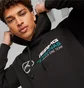 Худи мужское Puma Mercedes-Amg Petronas Black 621159-01
