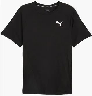 Футболка мужская Puma Train All Day Tee Black 524916-01