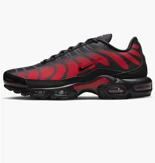 Кроссовки мужские Nike Air Max Plus Black DZ4507-600