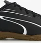 Футзалки мужские Puma Vitoria It Black 107485-01