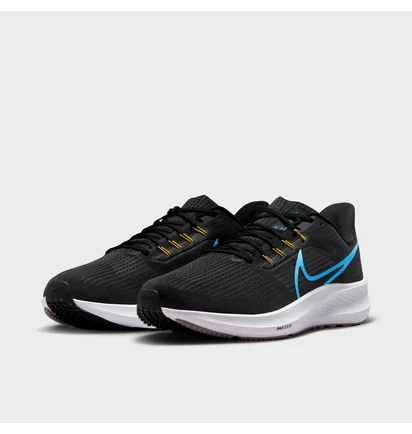 Кроссовки мужские Nike Pegasus 39 Running Shoes Black Dh4071-002