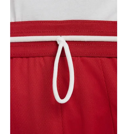 Шорти чоловічі Nike Mens Basketball Shorts Red Dh6763-657