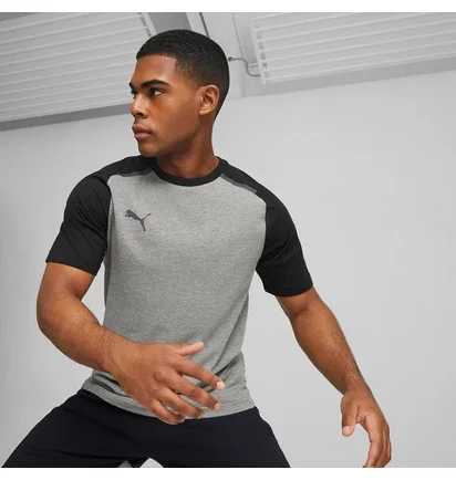 Футболка мужская Puma Teamcup Casuals Tee Grey 657992-13