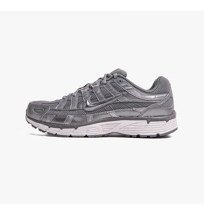 Кросівки чоловічі Nike P-6000 Metallic CD6404-023