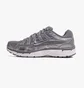 Кросівки чоловічі Nike P-6000 Metallic CD6404-023