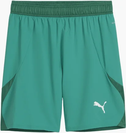 Шорты мужские Puma Teamfinal Short F05 Green 705743-05