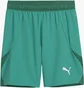 Шорты мужские Puma Teamfinal Short F05 Green 705743-05