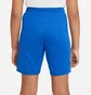 Шорти дитячі Air Jordan Jr Park Iii Knit Blue Bv6865-463