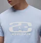 Футболка мужская Air Jordan Flt Ess Hbr Ss Crew Light Blue HJ2340-407