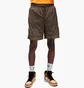 Шорты мужские Air Jordan Paris Saint-Germain Brown DZ2951-274