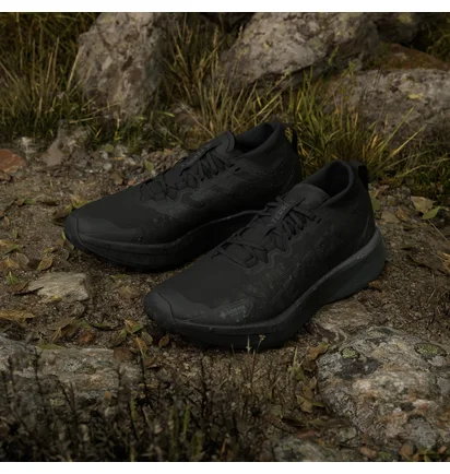 Кросівки чоловічі Adidas Terrex Agravic Gtx Black JR5240