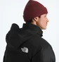 Пуховик мужской The North Face 1996 Retro Black NF0A3C8DGOE