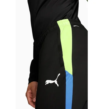Штаны мужские Puma Individualliga Black 659517-02
