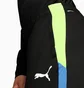 Штаны мужские Puma Individualliga Black 659517-02