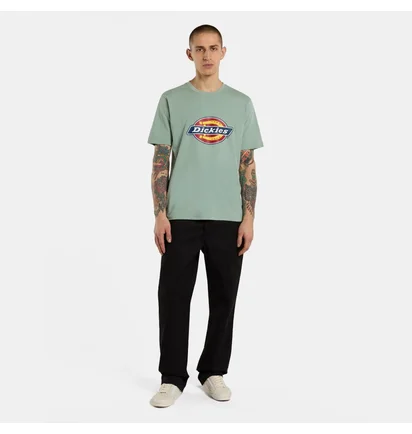 Футболка унісекс Dickies Icon Logo Turquoise DK0A4XC9K361