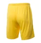 Шорты мужские Nike M Dry Park Iii Short K Yellow BV6855-719
