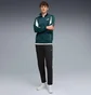 Штаны мужские Puma Evostripe Pants Dk Black 688234-01