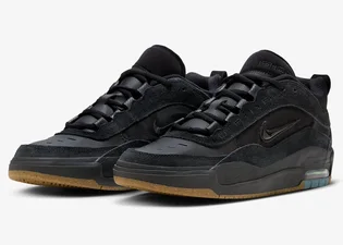 Кросівки чоловічі Nike Air Max Ishod Wair Sb Black FB2393-001