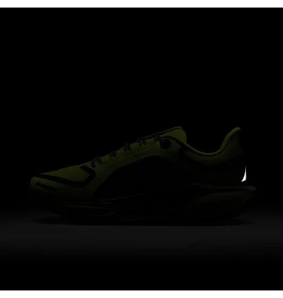 Кросівки жіночі Nike Pegasus 41 Gore Tex Green FQ1357-300