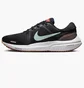 Кросівки жіночі Nike Air Zoom Vomero 16 Black Da7698-009