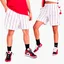 Шорты мужские Air Jordan Essentials Printed Basketball Shorts White Dm1357-100