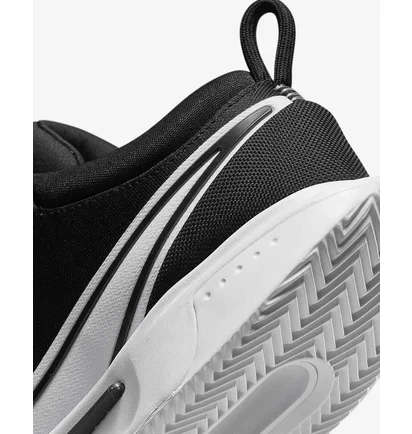 Кроссовки мужские Nike Zoom Court Pro Black/White Dh2603-010