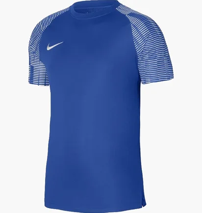 Футболка мужская Nike Jersey Dri-Fit Academy Blue DH8031-463