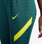 Штаны мужские Nike Tottenham Hotspur 21/22 Dri-Fit Adv Elite Pant Turquoise DB6885-397