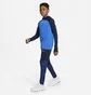 Штаны детские Nike Youth Dri-Fit Strike 22 Pants Blue DH9224-451