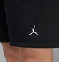 Шорты мужские Air Jordan Dri-Fit Graphic Black HF9943-010
