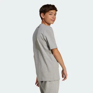 Футболка детская Adidas All Szn Graphic Tee Grey JC7641