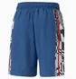 Шорты мужские Puma Bmw M Statement 85 Blue 538401-04